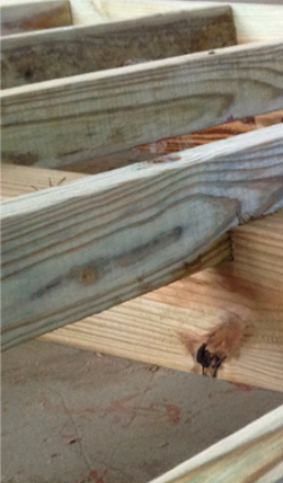 Country Cabins Floor Frame